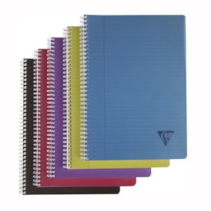 LINICOLOR ''INT'' NOTEBOOK GRAPH 180p 8¼x11¾