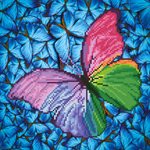 Flutter by Pink 38x38