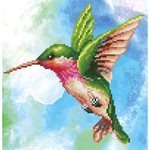 Hummingbird 36x37